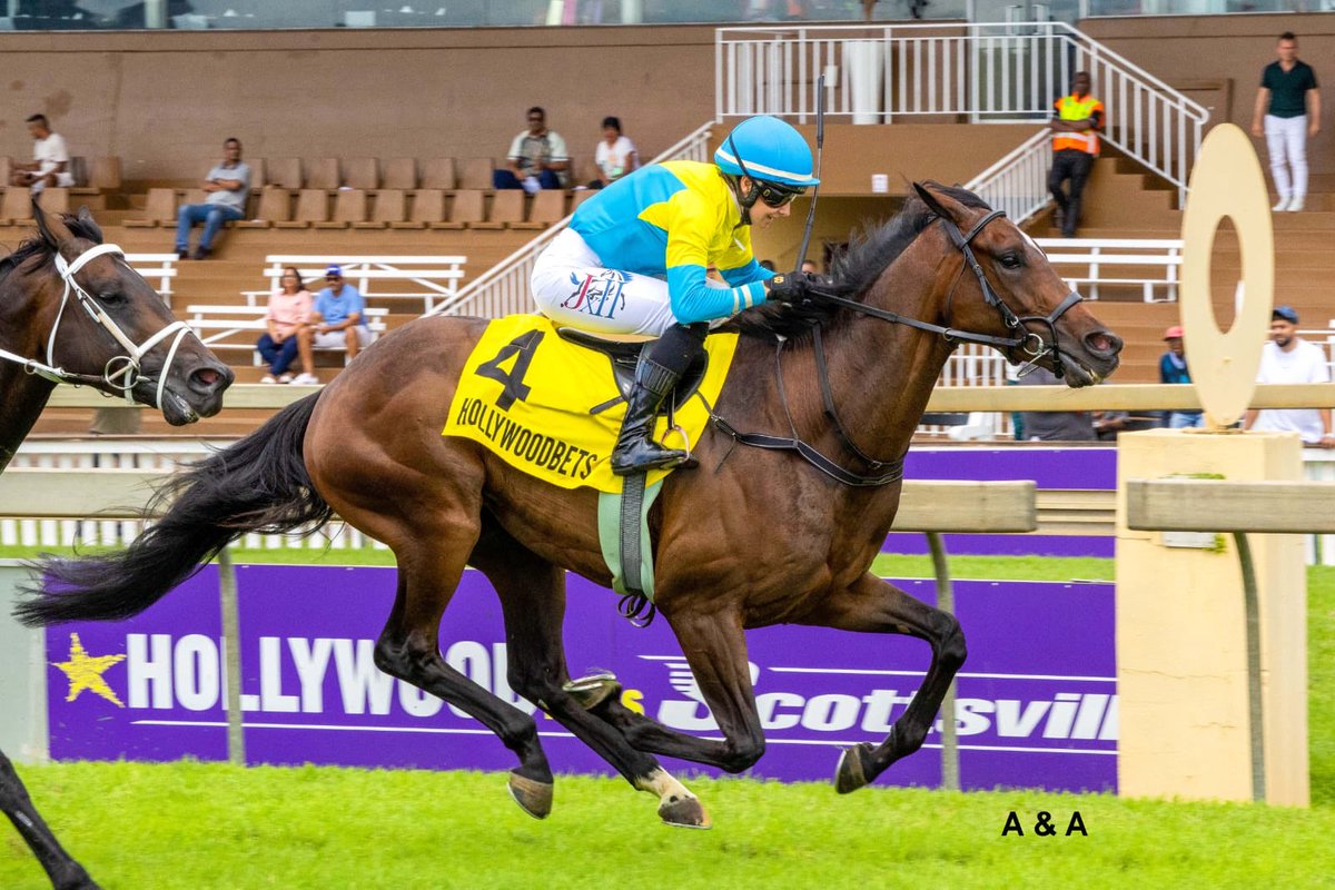 Mickaëlle Michel - ミカエルミシェル tweet media