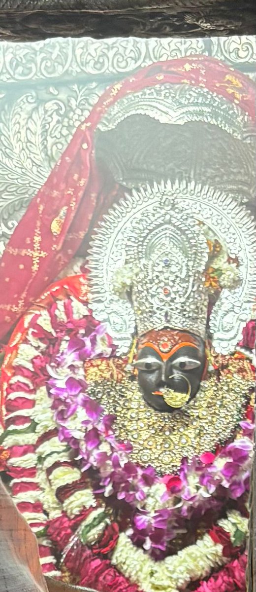 Dr Rishi Mohan Bhatnagar tweet media