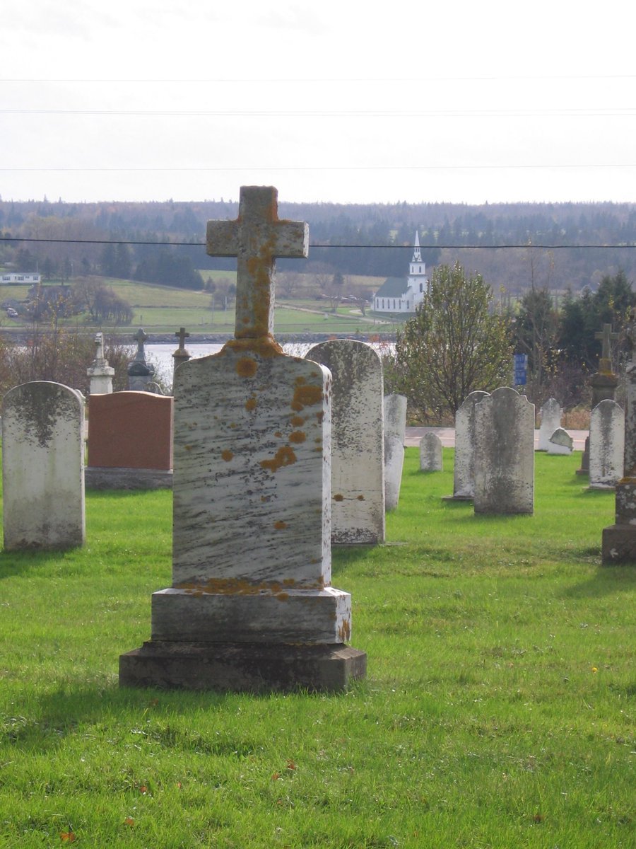 Always Anon PEI tweet media