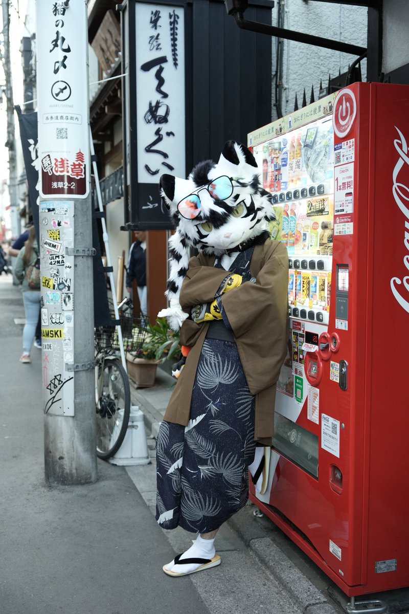 沃爾尼🔜Japan🔜Hi Furry tweet media