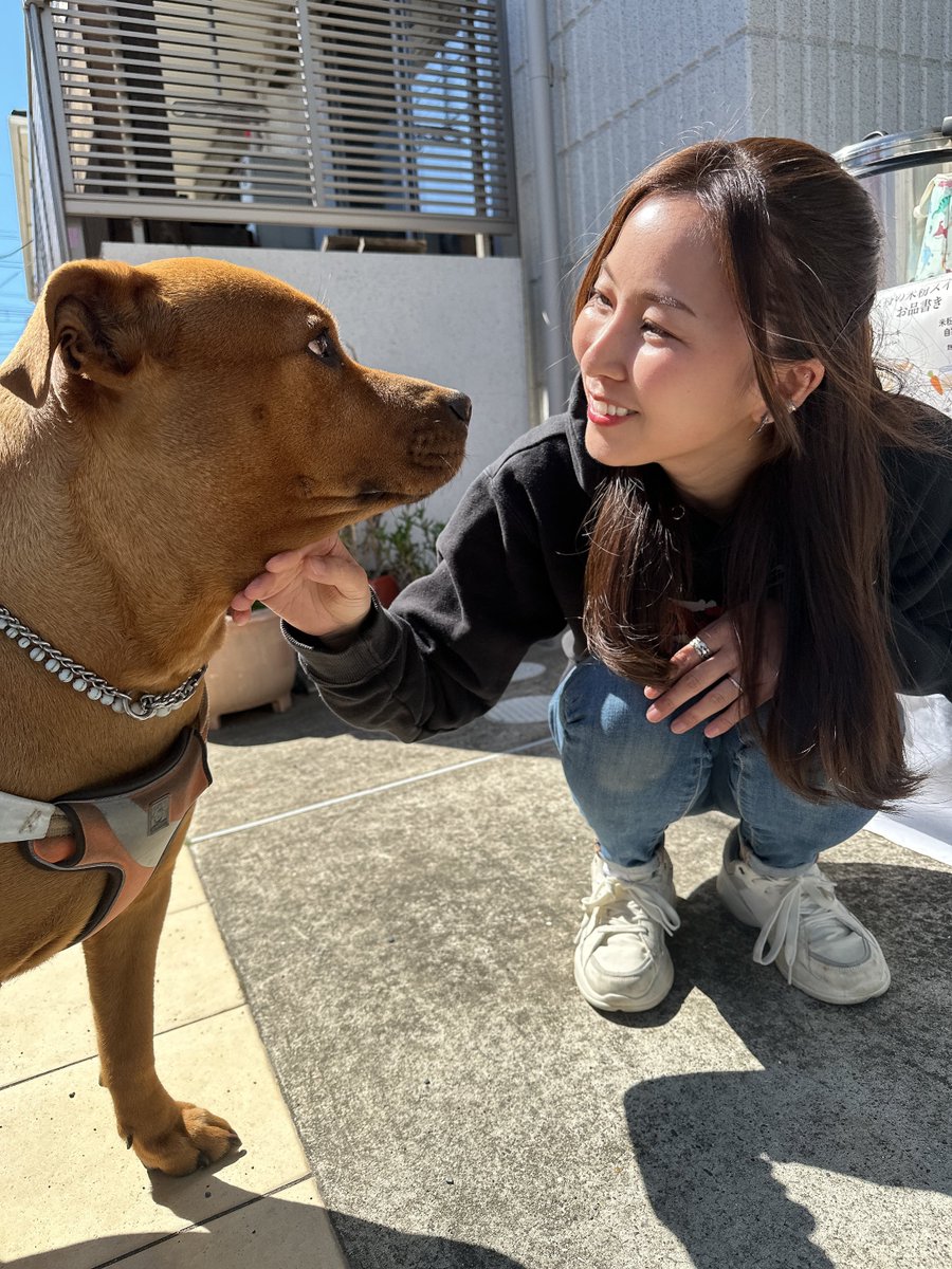 深海魚ブランドLavca.m tweet media