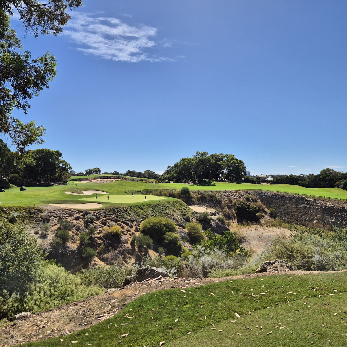 Grant Hawkridge tweet media