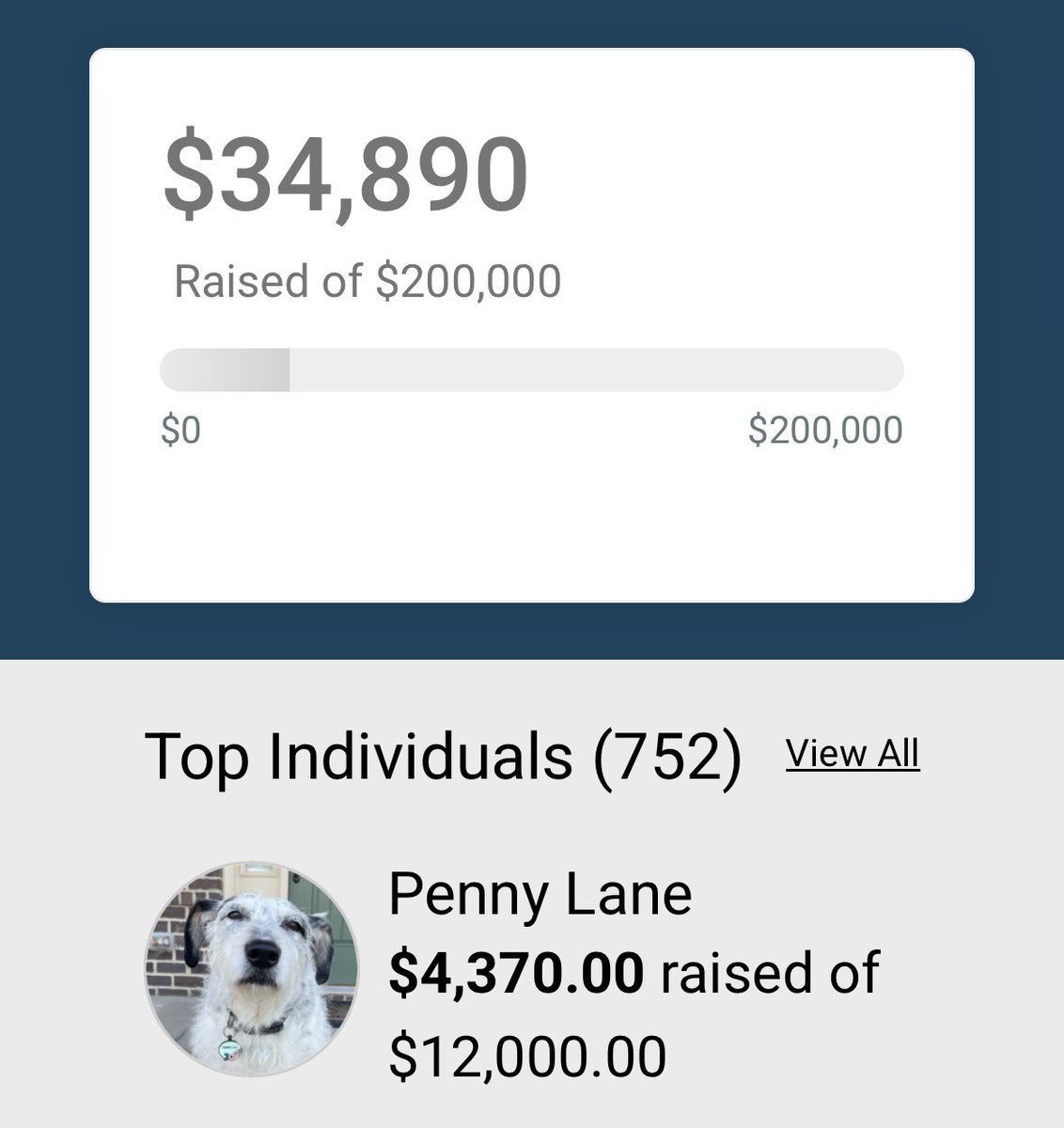 𝗣𝗲𝗻𝗻𝘆 𝗟𝗮𝗻𝗲- Lawn Potato TM tweet media