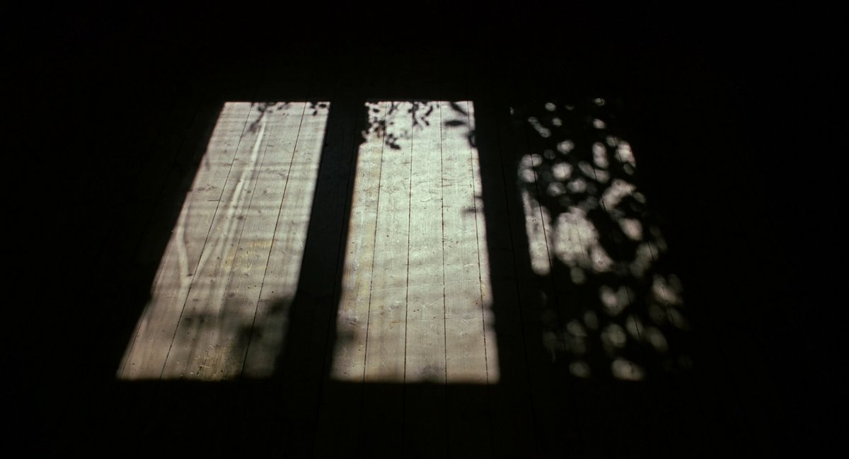 FilmFrame tweet media