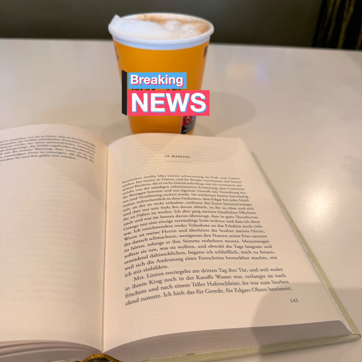 Ich lese ja gerade „Sturmhöhe“ und hatte vorab so Sachen im Netz „zu anspruchsvoll“ etc. gelesen. Echt jetzt?! Für einen so alten Klassiker liest es sich flüssig und angenehm weg und ich freue mich über Wörter, die ich gerade wieder entdecke. 🥰