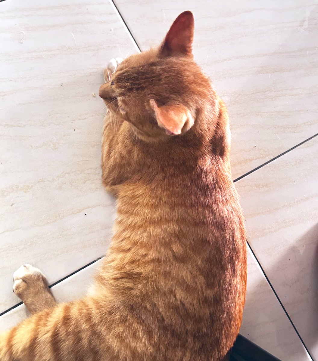 Sydney (@yookargina) on Twitter photo 