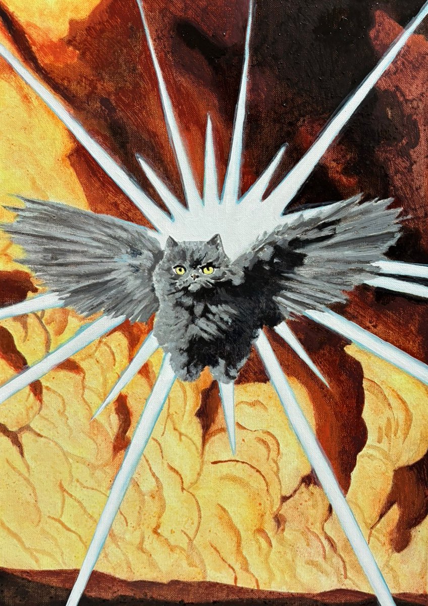 노상호 tweet media