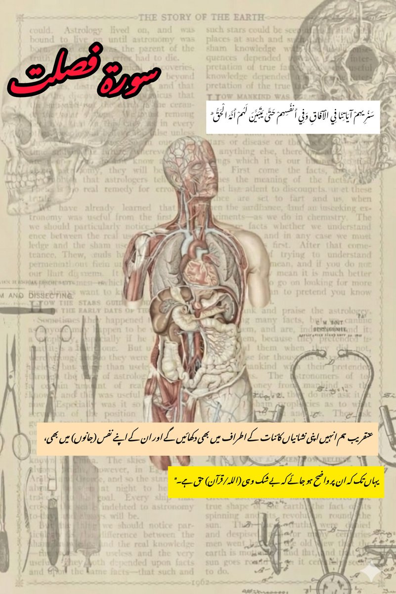 TasooSheikh's tweet photo. Wb Meri Kahi hoi bat aj thkk ho gaee aj finally Ap biology k topic pr a gy
چلو یہ چھوڑو ذرا خود اپنے وجودد پہ ہی نگاہ ڈالو،،
سورة فصلت (آیت نمبر: 53)
@WaseemBadami
#Shaneramzan2026
#QuranScience https://t.co/LWlinFnGlz