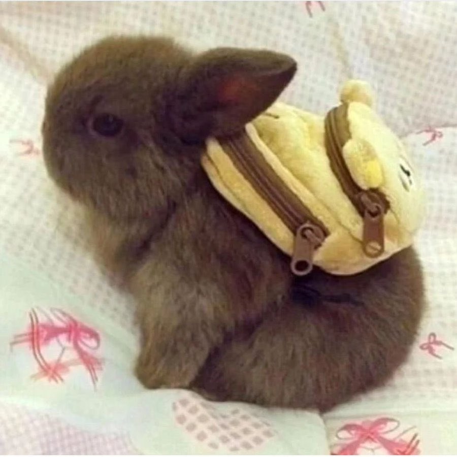 FeetHuggs🏳️‍⚧️ tweet media