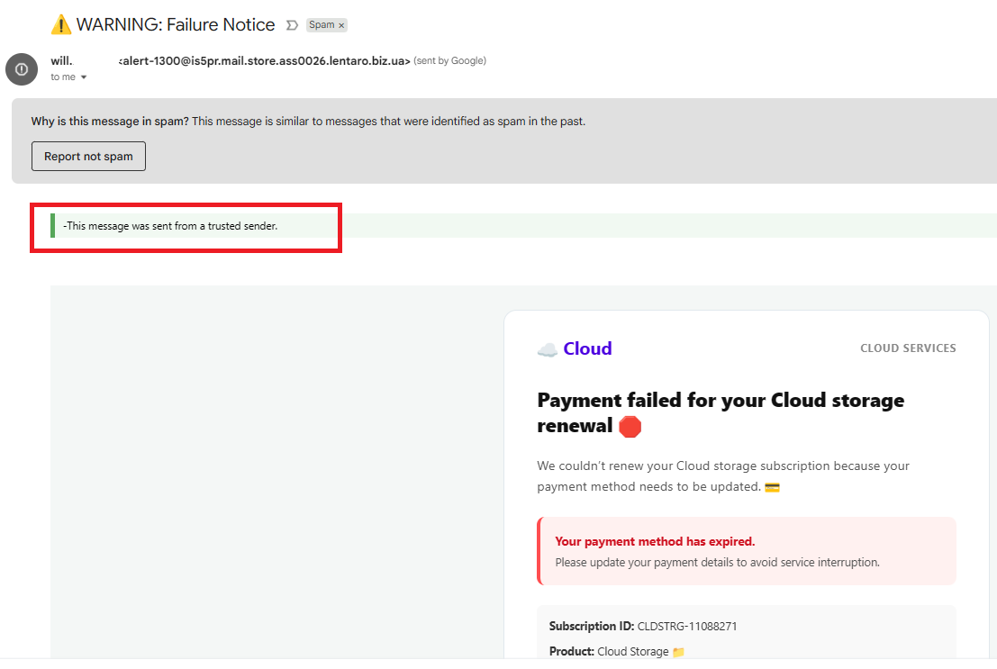  🇺🇸 Will © tweet media