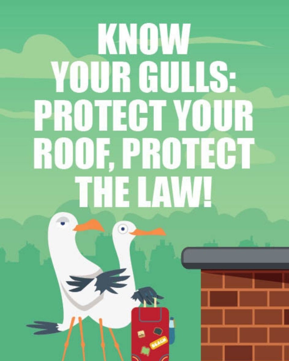 East Ayrshire tweet media