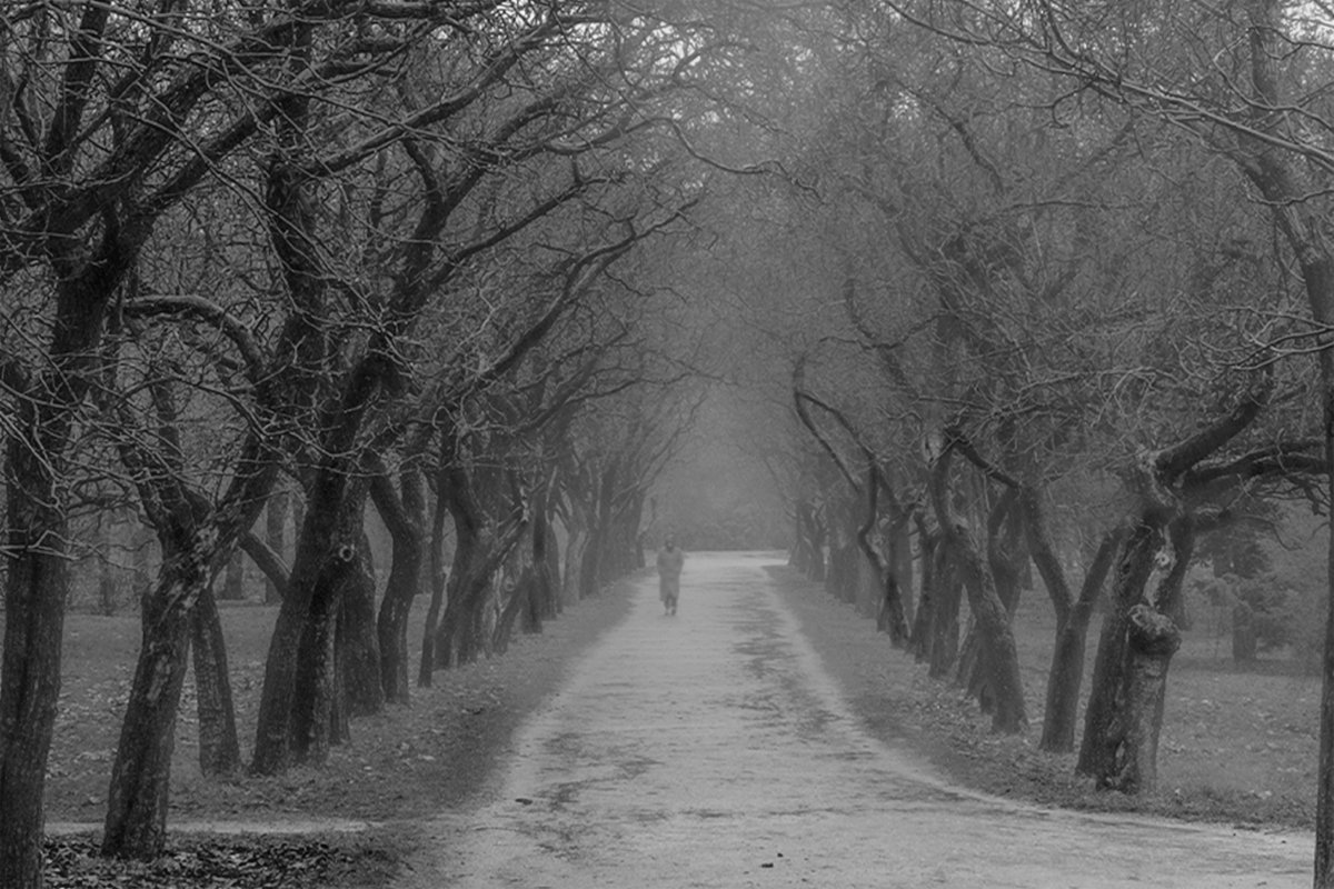 Marigold tweet media