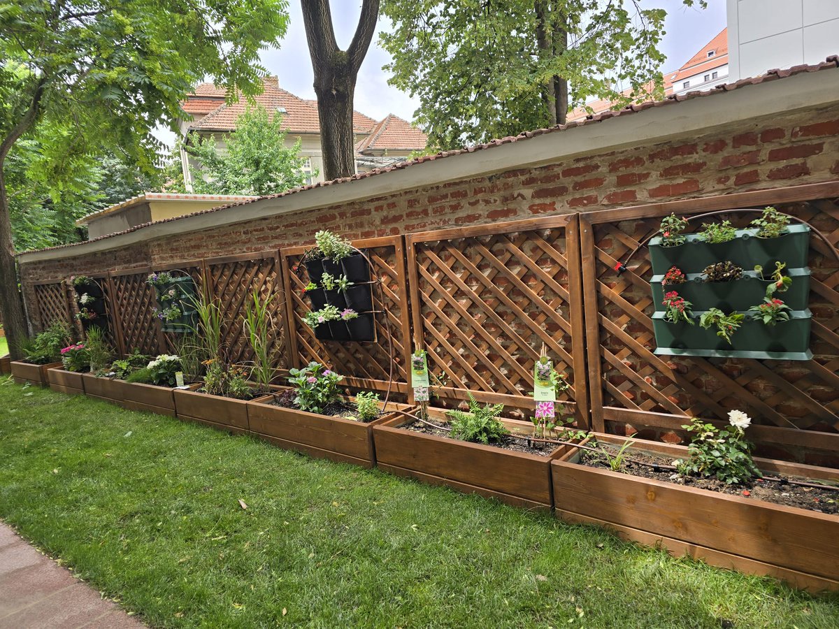 Interreg Romania-Hungary tweet media