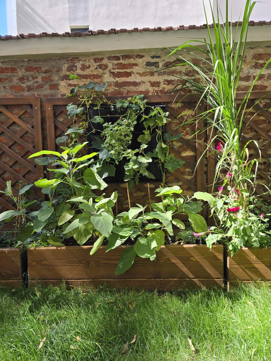 Interreg Romania-Hungary tweet media