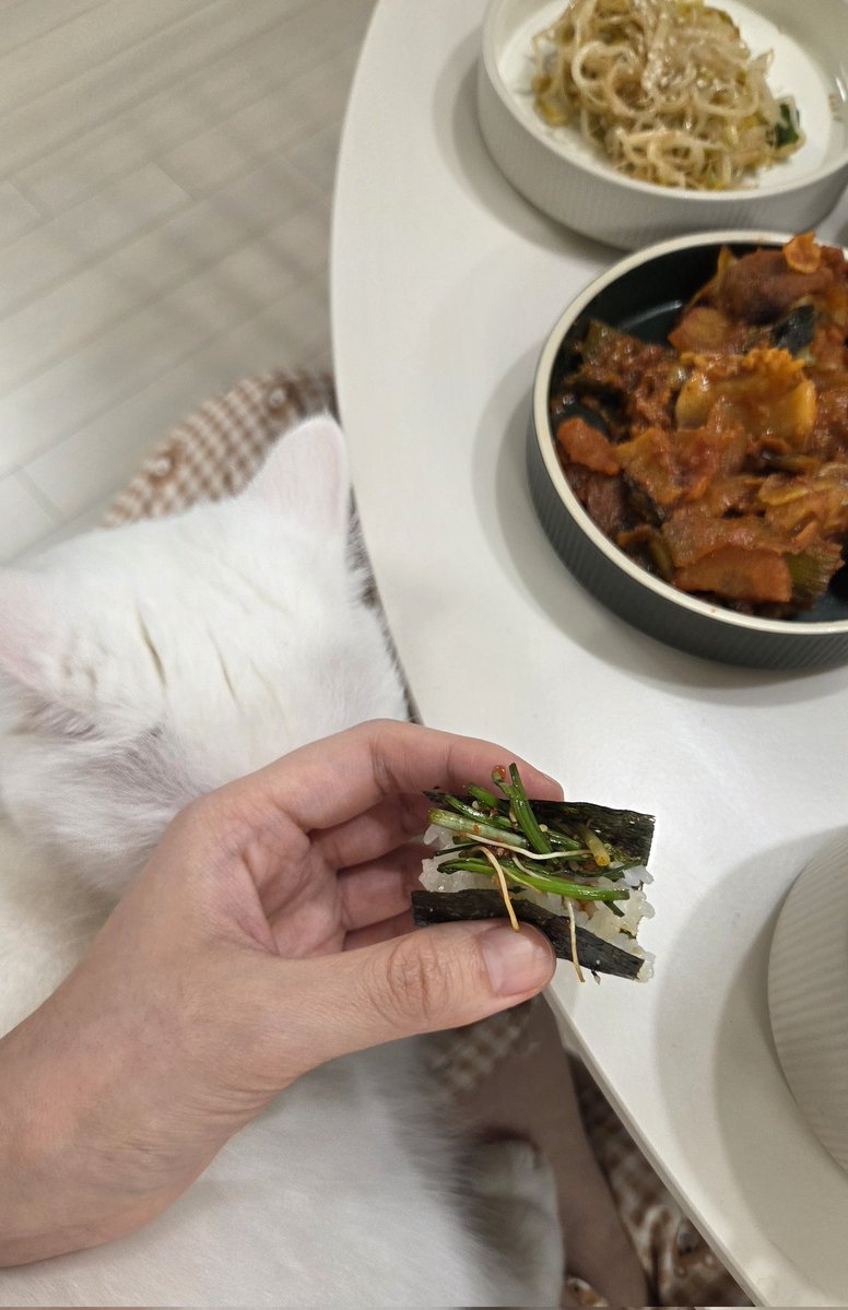 구름호빵이네 ₍˄·͈༝·͈˄₎◞ ̑̑ෆ tweet media