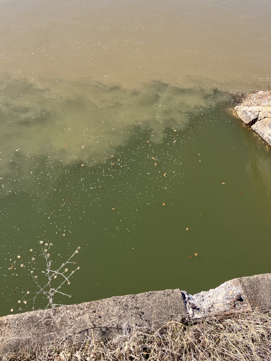 Andy Whitcomb tweet media