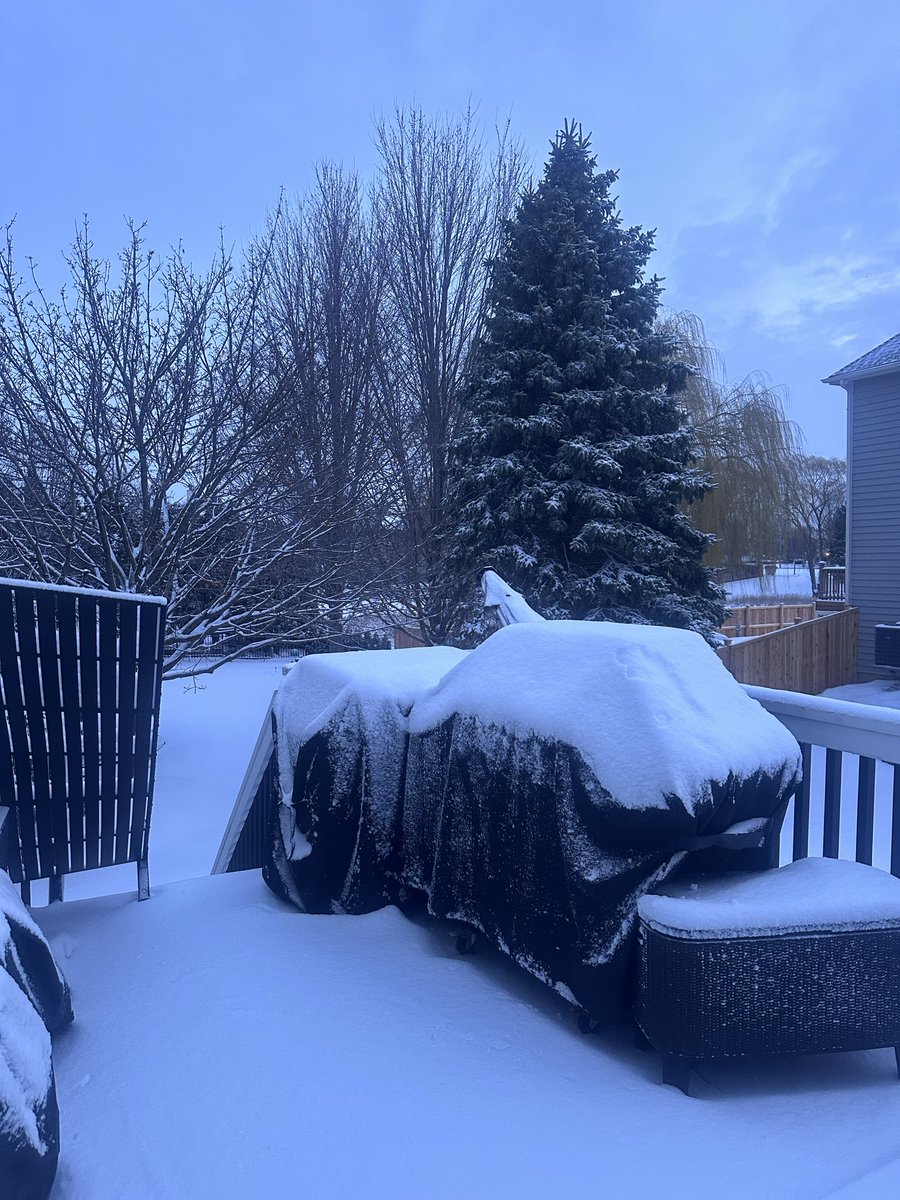 ANTONIO OCHOA tweet media