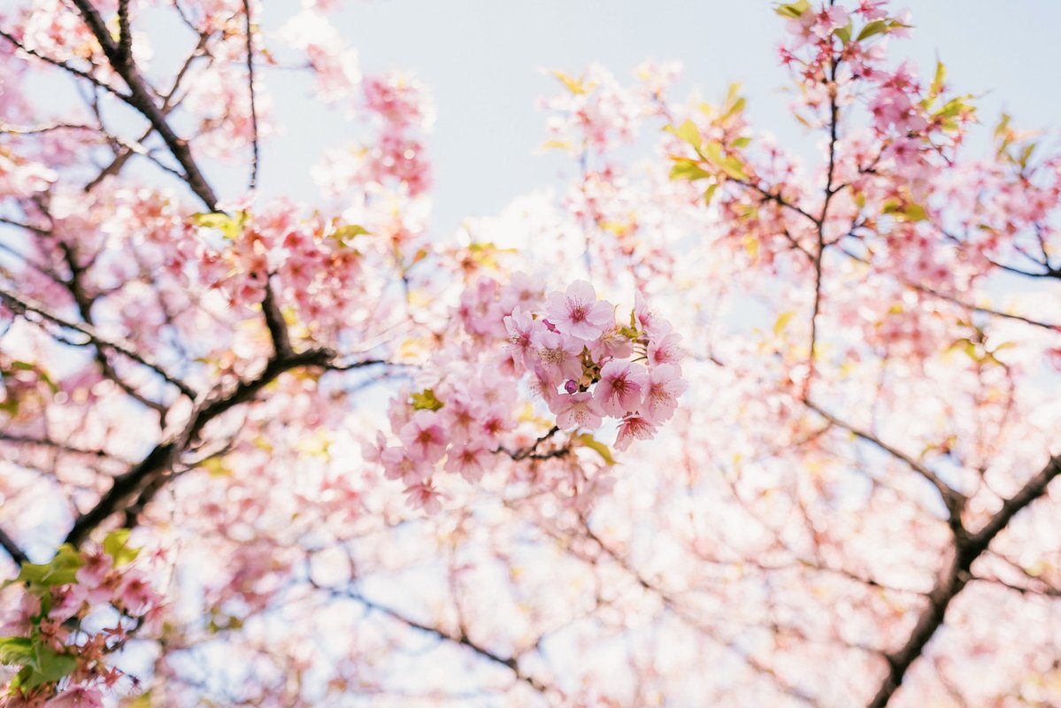 Yang Maha Eka tweet media