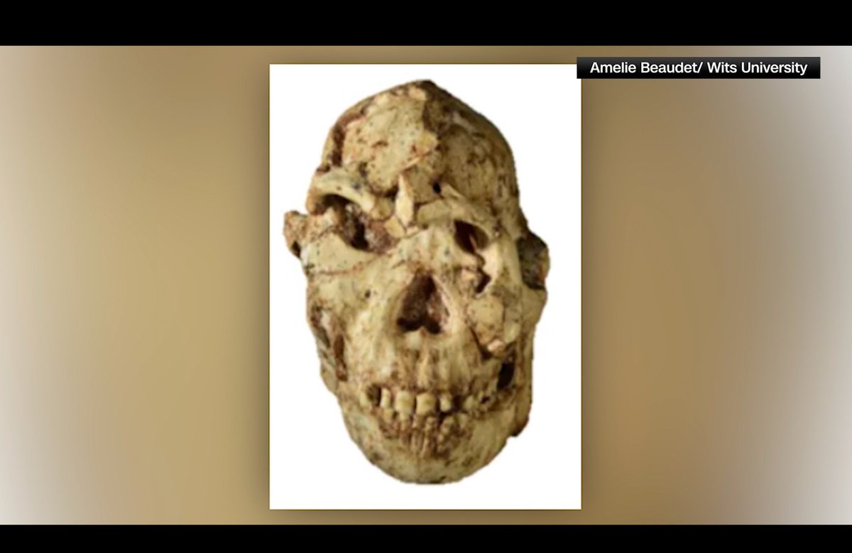 للمرة الأولى.. إعادة بناء رقمية تكشف عن شكل أحد أسلاف البشر القدامى 