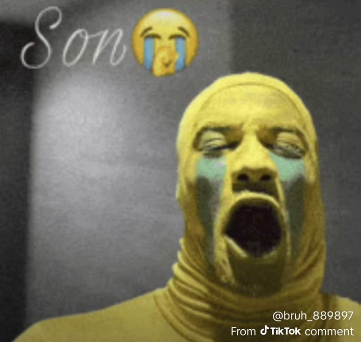 floppafazcat tweet media