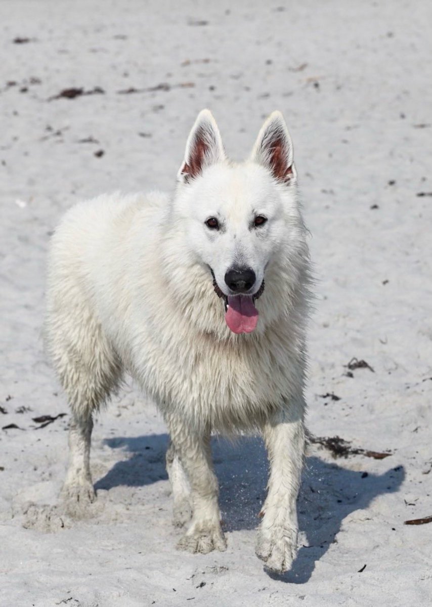 ⓧ Cypherius Prime 🛞X1 tweet media