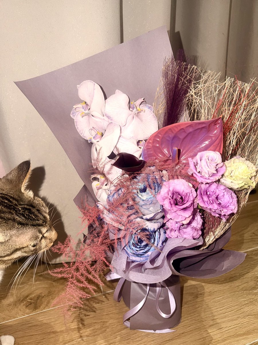 爆浆奶油荔枝 tweet media