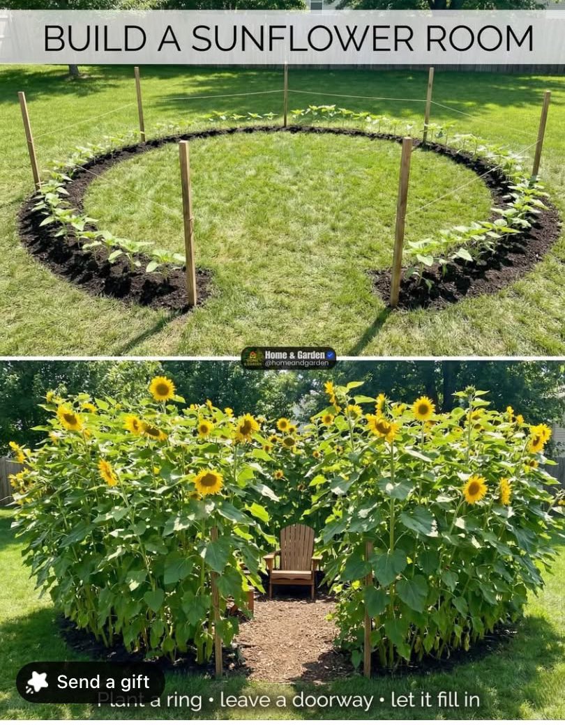 𝘤𝘢𝘣𝘪𝘯 𝘷𝘪𝘴𝘶𝘢𝘭𝘴 ❁࿐❁ tweet media