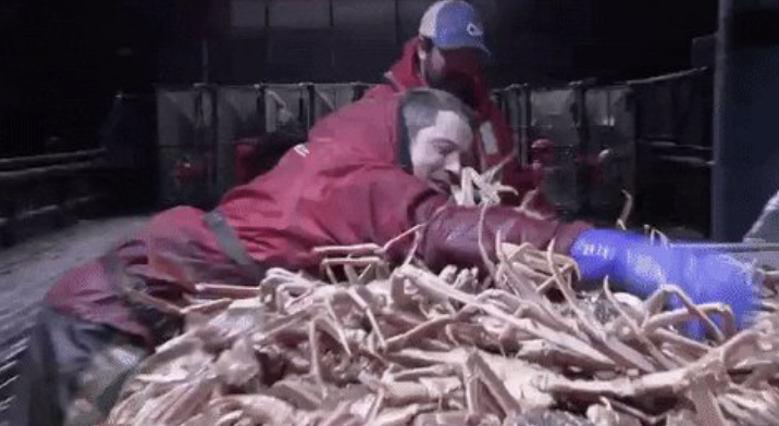 Vortex Trades tweet media