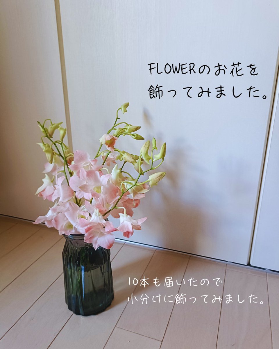 87woikeru's tweet photo. 先週たっぷり届いた、ピンクのデンファレ。

私室に、仕事机に、キッチンに…

と小分けにして、家中お花だらけに🌸 https://t.co/3AukyVCBpM