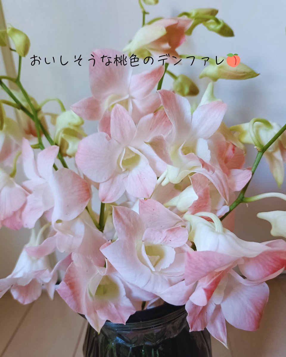 87woikeru's tweet photo. 先週たっぷり届いた、ピンクのデンファレ。

私室に、仕事机に、キッチンに…

と小分けにして、家中お花だらけに🌸 https://t.co/3AukyVCBpM