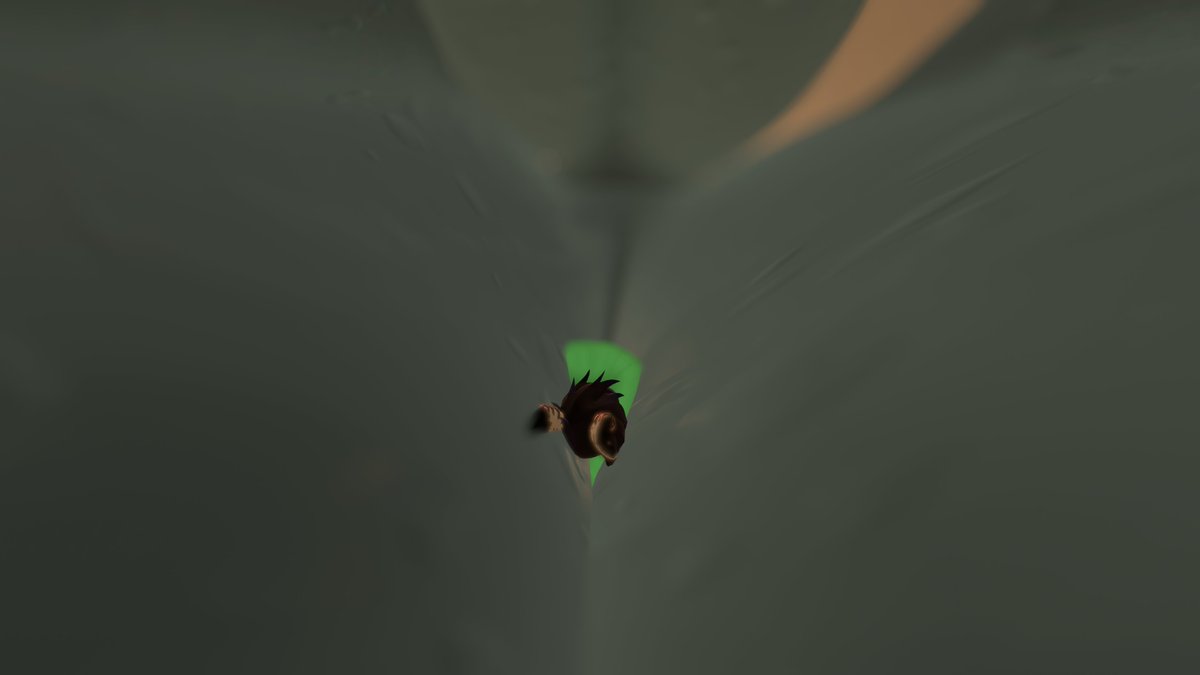 Darcy 💙💚 tweet media