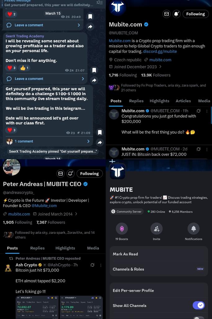 finn Fly tweet media