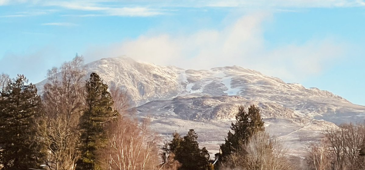 Alex Hynes tweet media