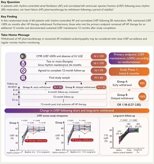 Ahmed Bennis MD 🫀 tweet media