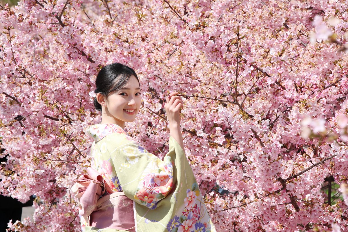 たのさつ tweet media