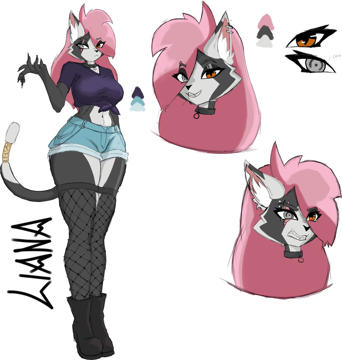 Fusca (new) tweet media