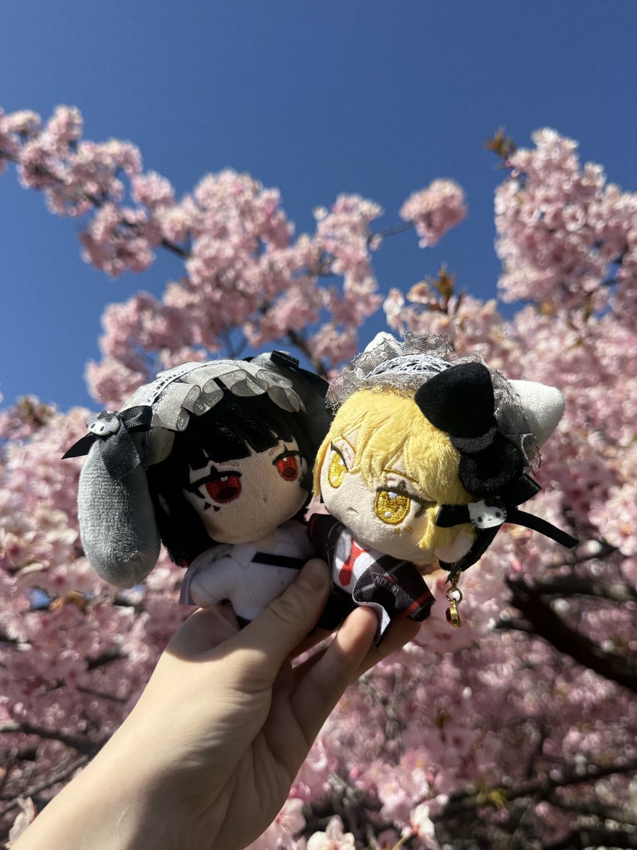 ひなっち tweet media