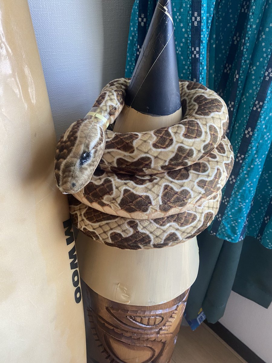 大阪に戻ると
冒険の荷物が届いておりました🧳
酒井博士作の水晶🔮
ラウのへび🐍
模型のモアイ🗿
（ちゃんと開く）
お土産の鳥取モアイ🗿

あとは、貸し出してた諸々。
他。

こうやって、謎の置き物が
我が家に増えていきます…

あぁ、冒険終わったんだなぁ。
と再確認⛰️