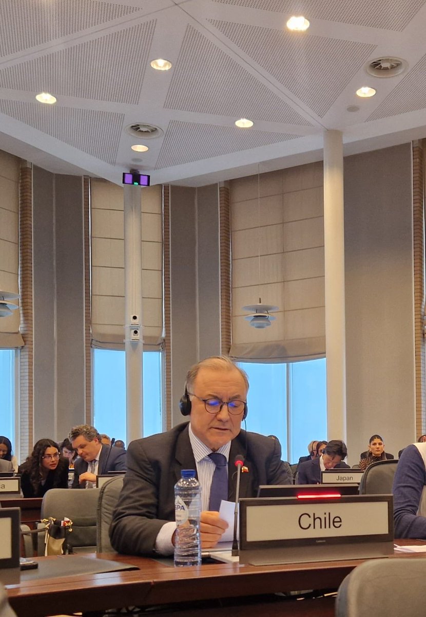 EmbChile Países Bajos tweet media