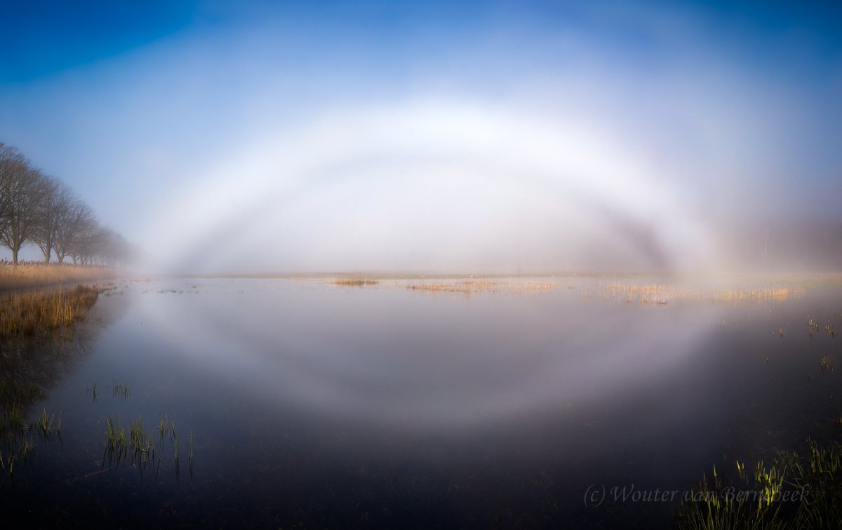 Wouter van Bernebeek tweet media