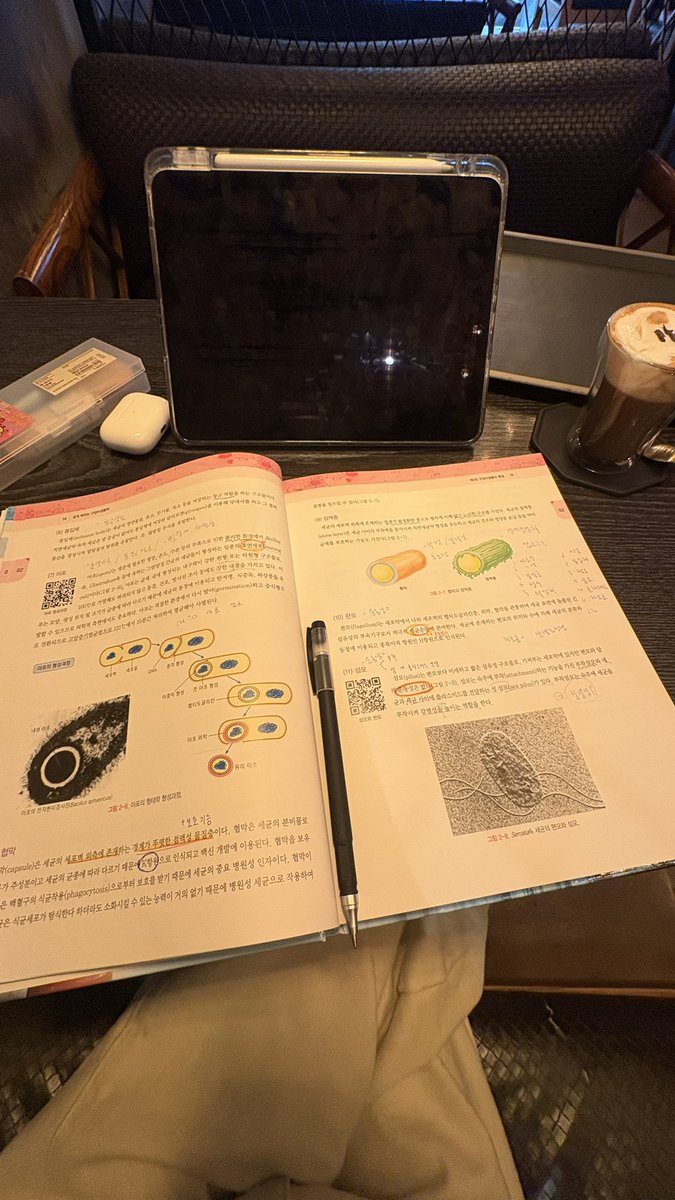 우니 tweet media