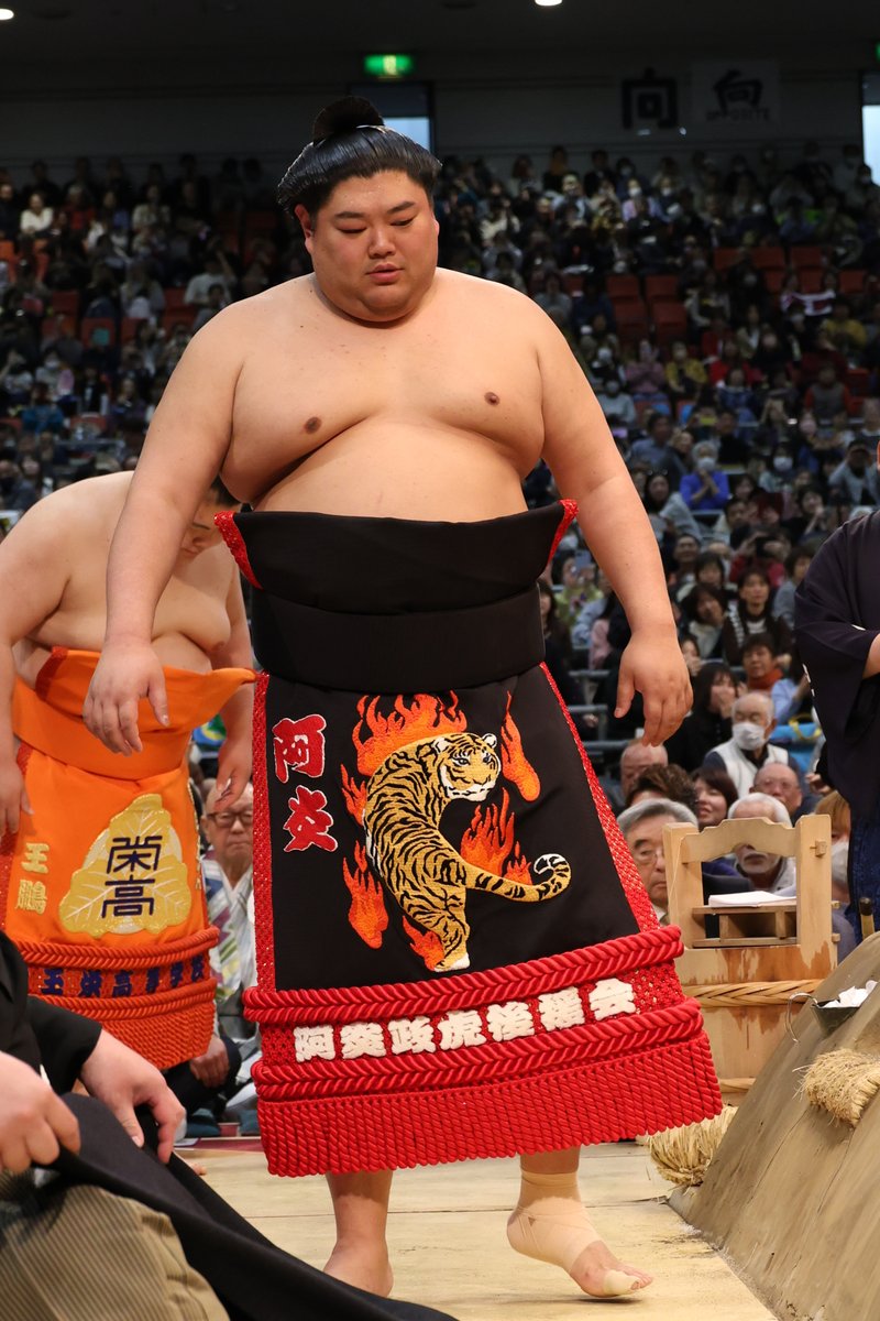 九日目の様子＞ 幕内土俵入 #sumo #相撲 #三月場所