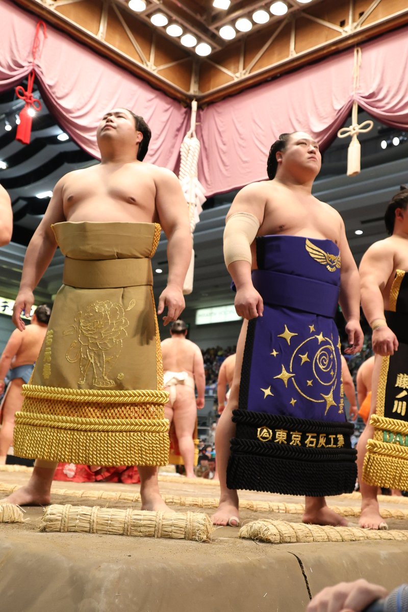 九日目の様子＞ 幕内土俵入 #sumo #相撲 #三月場所