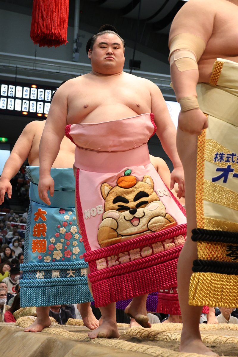九日目の様子＞ 幕内土俵入 #sumo #相撲 #三月場所