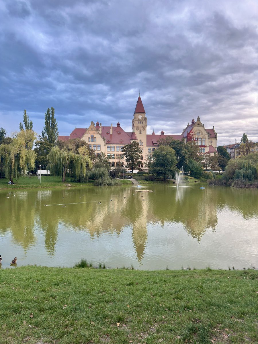 Potato13 tweet media