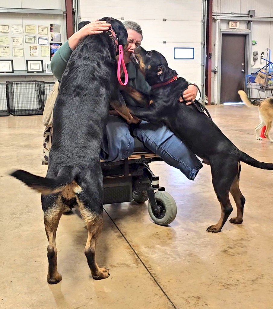 Team Servicerottie🇨🇦🐕‍🦺🦽 tweet media