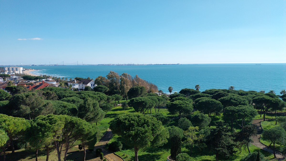 Educación Jesuitas tweet media