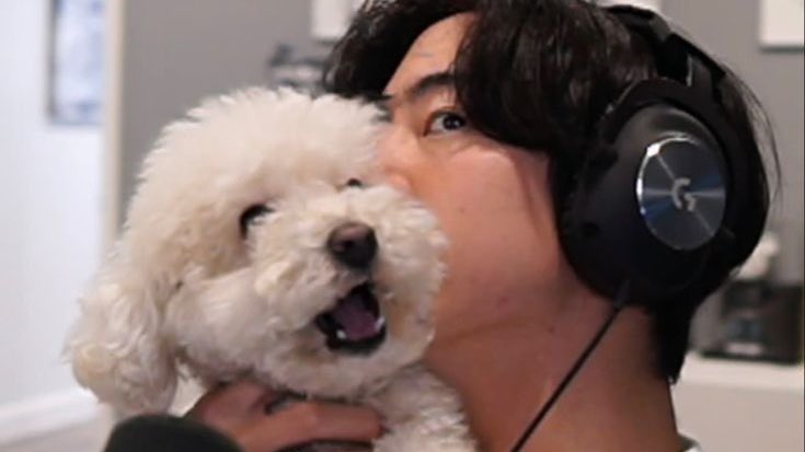 joaquin. tweet media