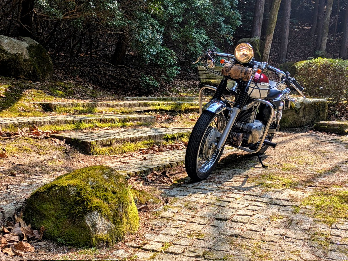 丸BOZZU tweet media