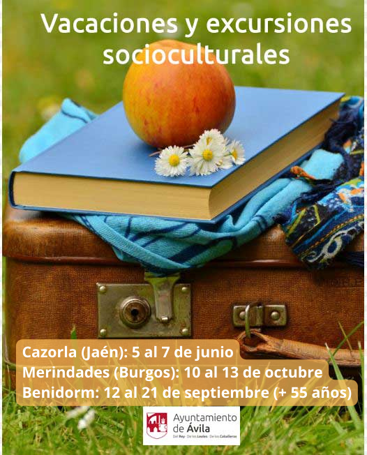 Ayuntamiento Ávila tweet media